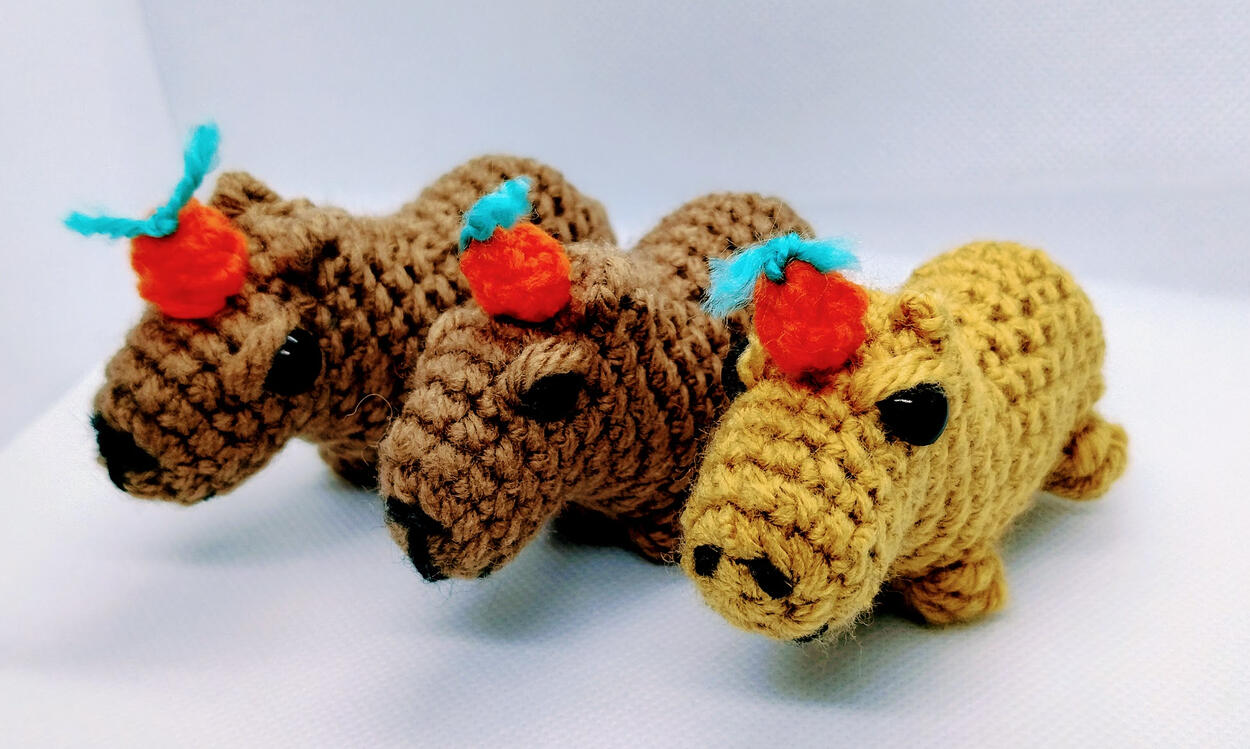 Crochet Capybara Crochet Capybara