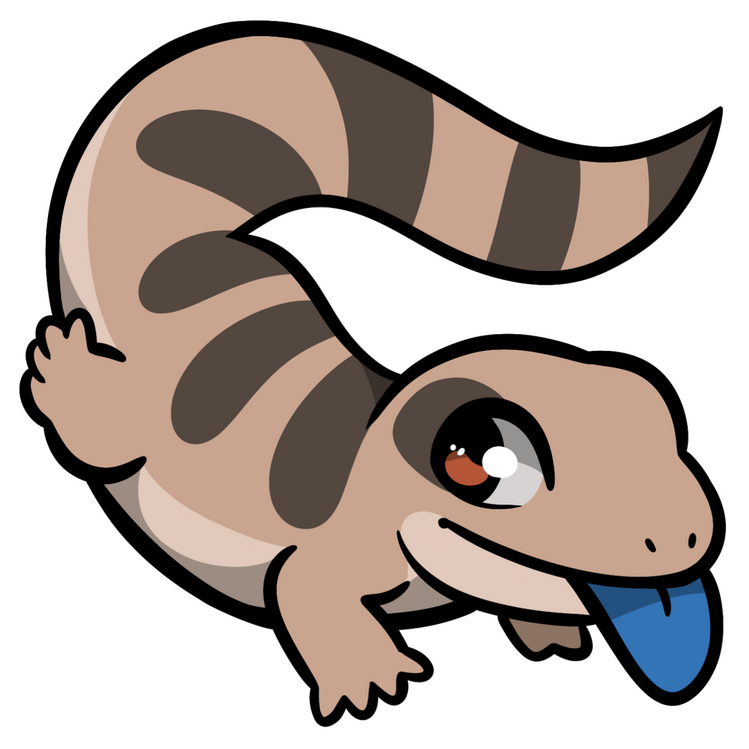 Blue Tongue Skink
