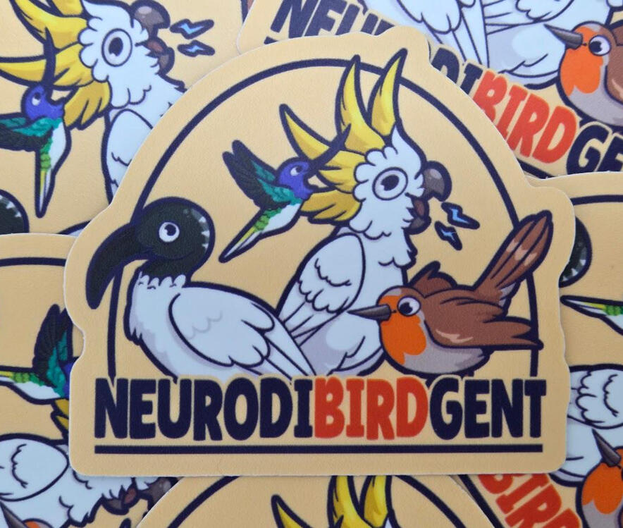 Neurodibirdgent Neurodibirdgent